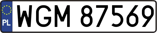 WGM87569