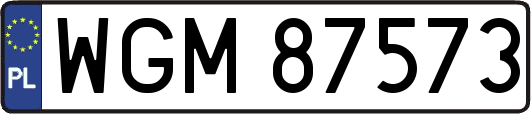 WGM87573