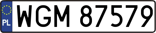 WGM87579