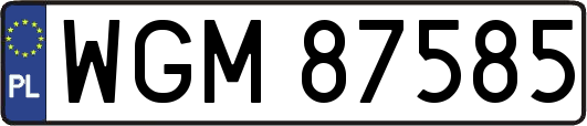 WGM87585