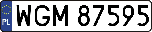 WGM87595