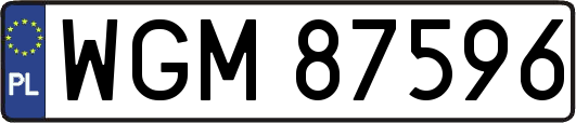 WGM87596