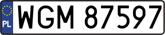 WGM87597