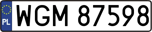 WGM87598