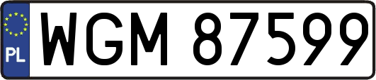 WGM87599