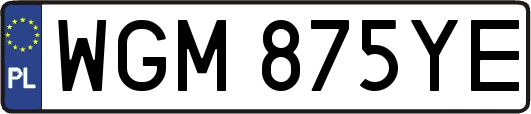 WGM875YE