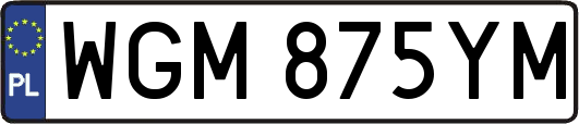 WGM875YM