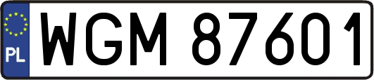 WGM87601