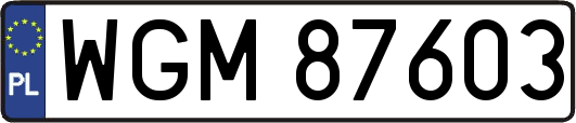 WGM87603