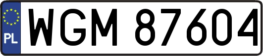WGM87604