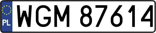 WGM87614