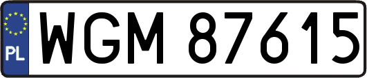 WGM87615
