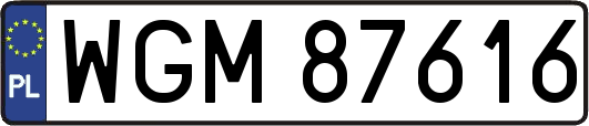 WGM87616