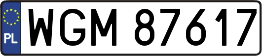 WGM87617