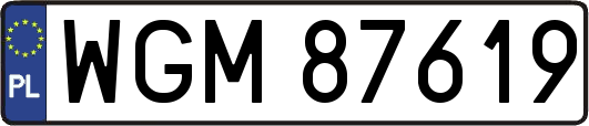 WGM87619