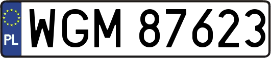 WGM87623