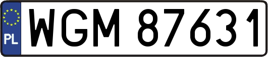 WGM87631