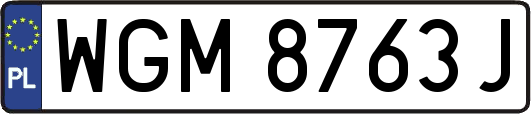 WGM8763J