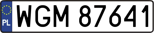 WGM87641