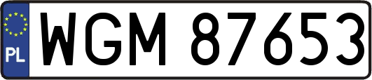WGM87653