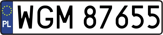 WGM87655