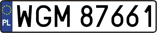 WGM87661