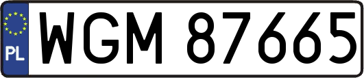 WGM87665