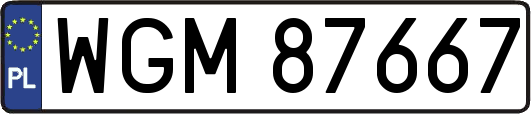 WGM87667