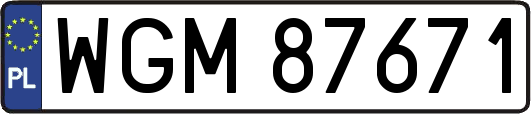 WGM87671