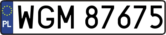 WGM87675