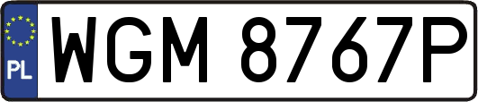 WGM8767P