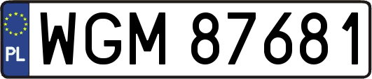 WGM87681