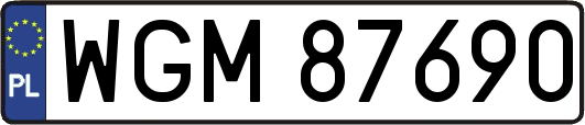 WGM87690