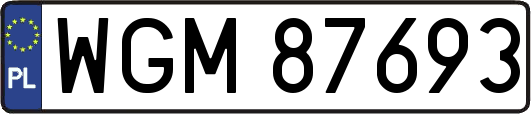 WGM87693