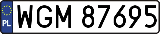 WGM87695