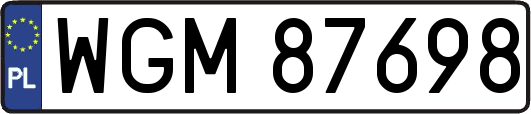 WGM87698