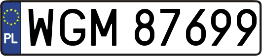 WGM87699