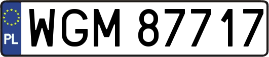 WGM87717