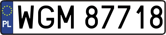 WGM87718