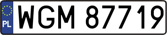 WGM87719