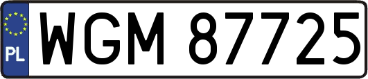 WGM87725