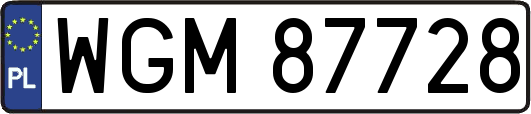 WGM87728