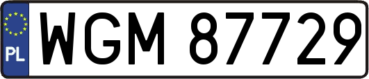 WGM87729