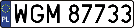 WGM87733