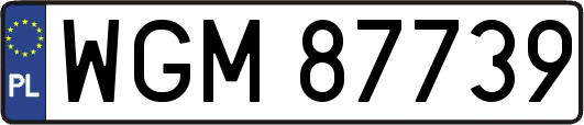 WGM87739
