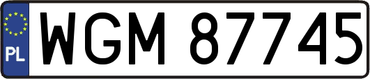 WGM87745