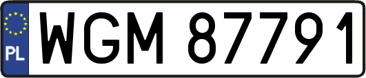 WGM87791