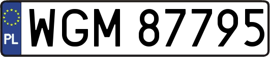 WGM87795