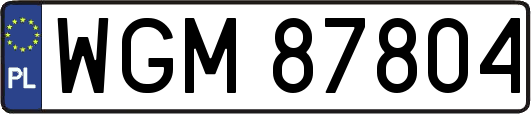 WGM87804