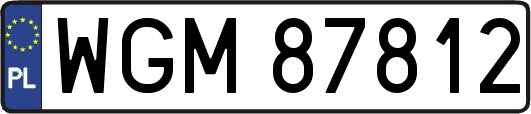 WGM87812